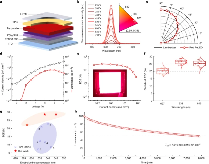 上海大學(xué)，2024年最新Nature！