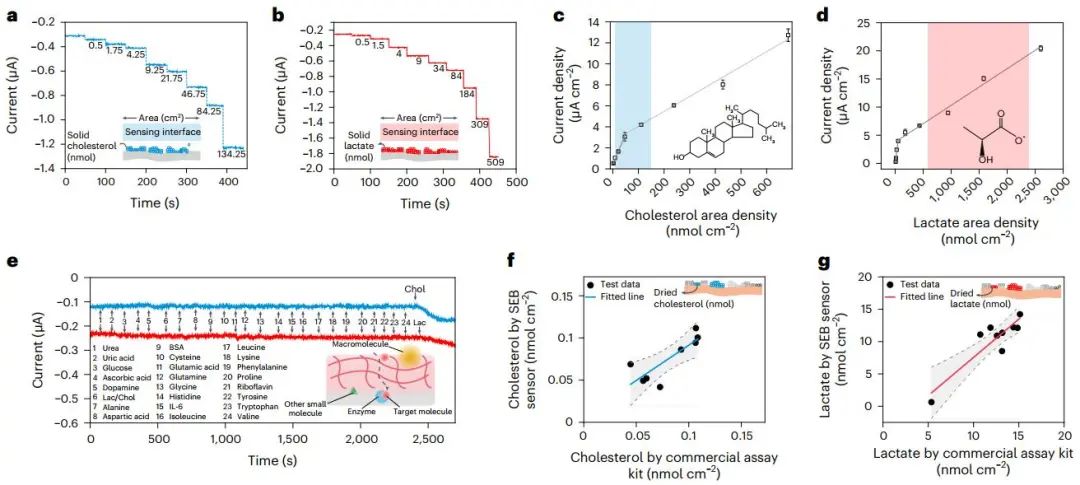 他，師從鮑哲南院士，手握Nature/Science，發(fā)表最新Nature Materials！