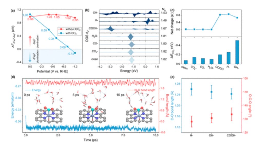 東南大學，發(fā)表JACS！工作條件下的雜化態(tài)轉變，單原子催化劑的活性來源