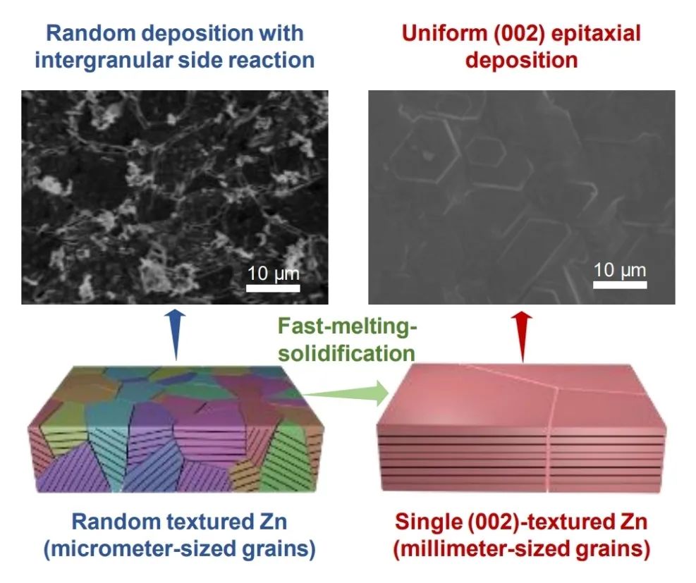?南郵Angew：將商業(yè)鋅箔轉(zhuǎn)化為毫米顆粒的單層(002)織構(gòu)鋅用于水系鋅離子電池
