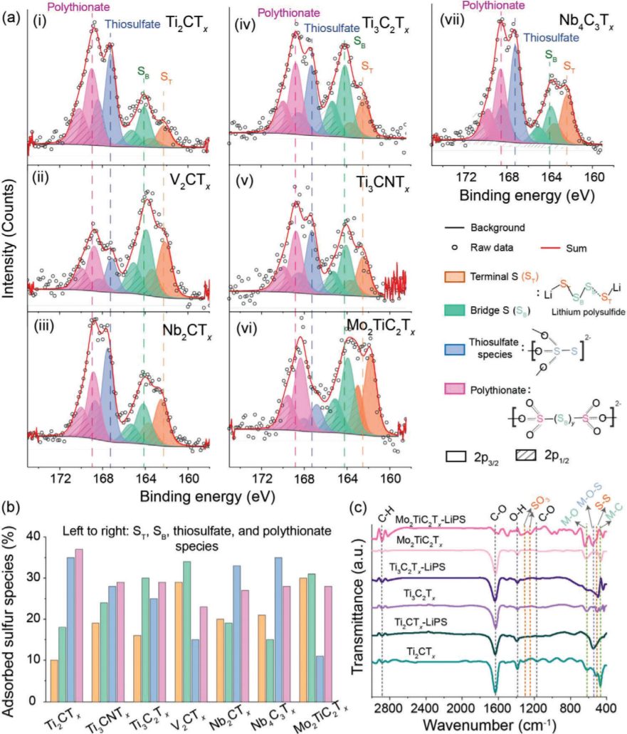 “MXene鼻祖”Yury Gogotsi教授，最新AFM：一文讀懂，科學(xué)篩選用于吸附多硫化物的MXenes！