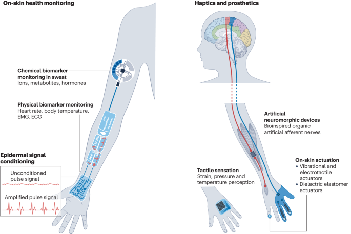 鮑哲南院士，最新Nature Reviews Bioengineering！