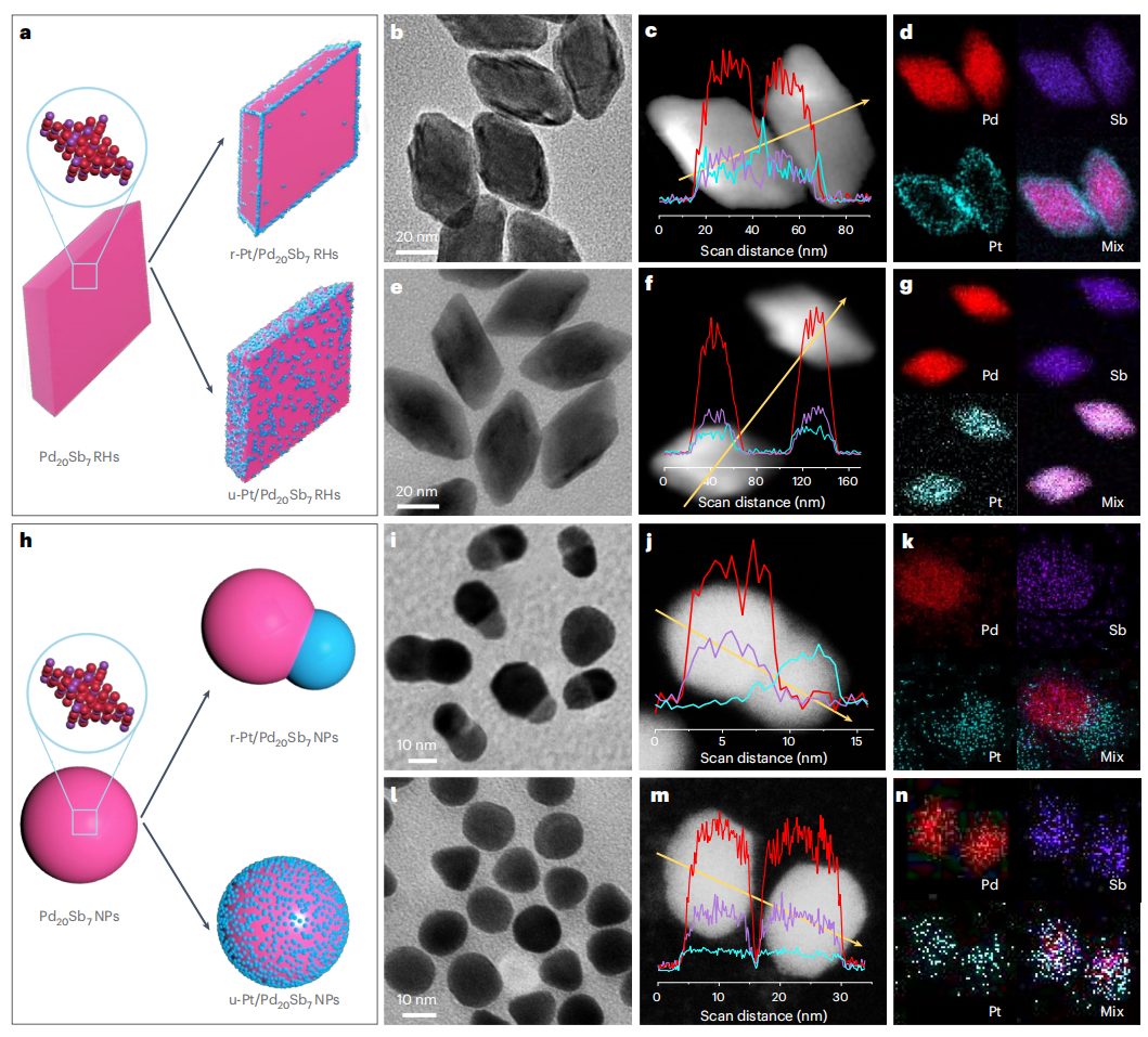 他，廈門大學(xué)「國家杰青」，最新Nature Nanotechnology！