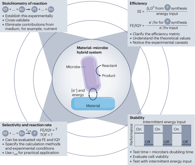 斯隆獎(jiǎng)得主！師從趙東元/楊培東兩位院士，UCLA劉翀Nature Catalysis！