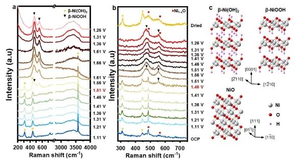 ?港理工JACS: β-Ni(OH)2表面重構(gòu): 一種強(qiáng)化OER的自激活過程