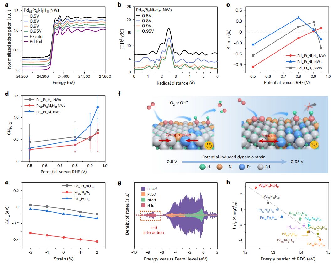 繼Nature Materials后，華科李箐再發(fā)Nature Catalysis！