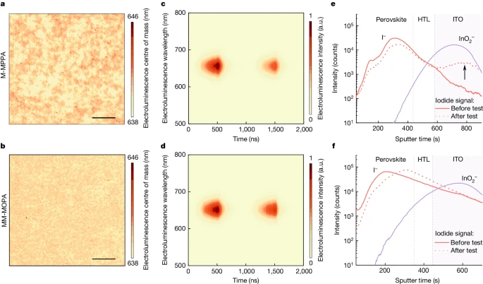 上海大學(xué)，2024年最新Nature！