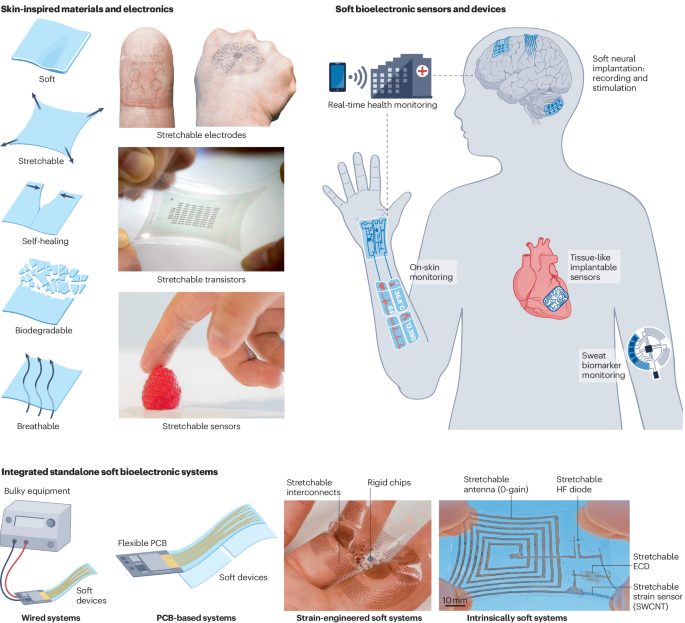 鮑哲南院士，最新Nature Reviews Bioengineering！