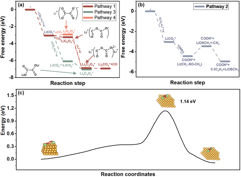 中科院大連化物所「國家杰青」彭章泉團隊，最新JACS！