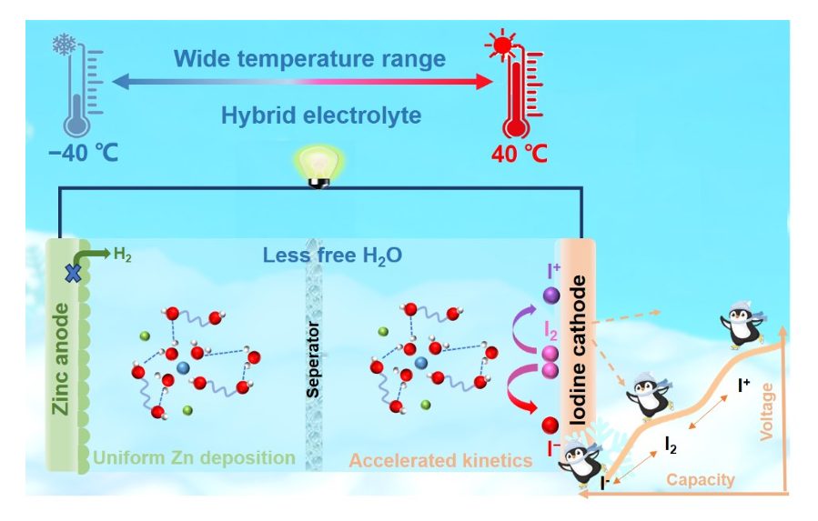 ?湖大AM：弱氫鍵水系電解質(zhì)助力鋅-碘電池