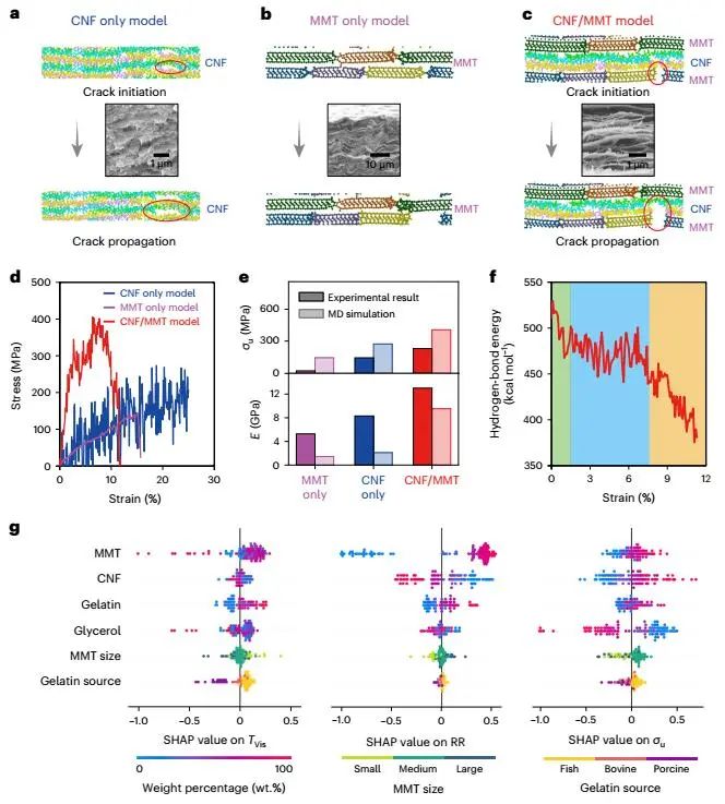 胡良兵/李騰等，最新Nature Nanotechnology！