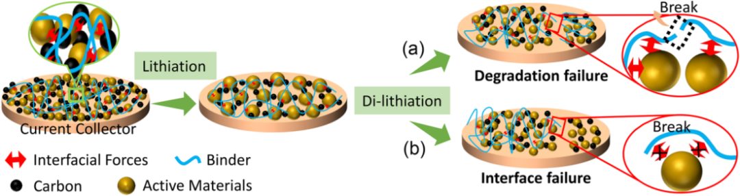 北京大學(xué)孟鴻教授&聯(lián)手黃維院士，最新Chem. Soc. Rev.綜述！