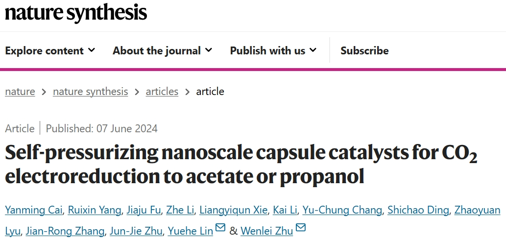 朱文磊/林躍河，最新Nature Synthesis！