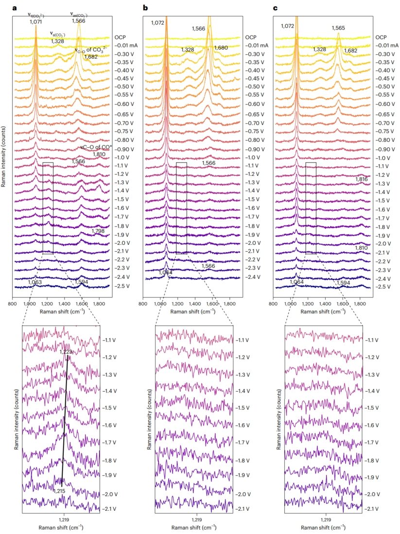 朱文磊/林躍河，最新Nature Synthesis！