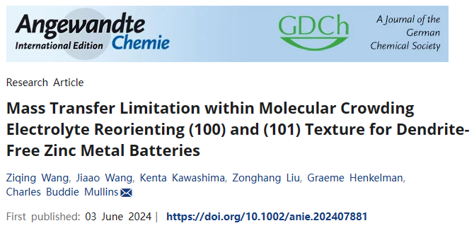重磅Angew！解決鋅枝晶問題！