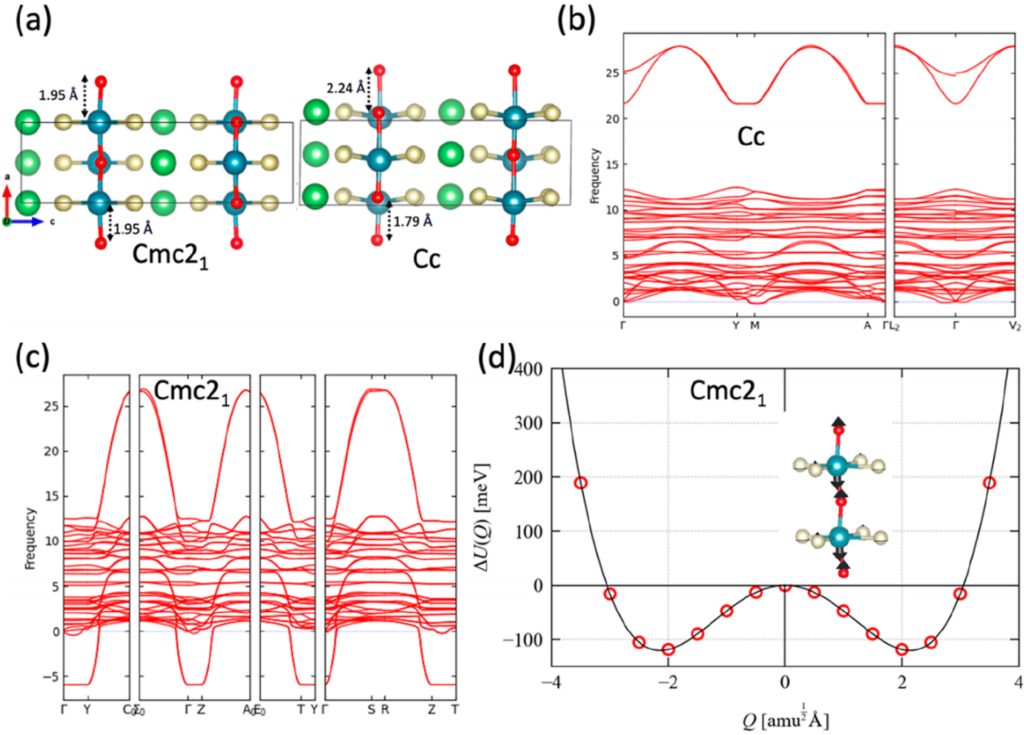 電池女王Linda F. Nazar，最新JACS！