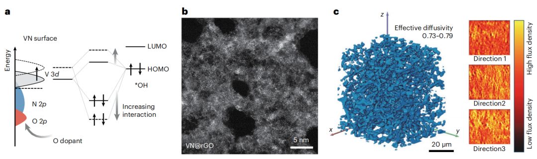 麥立強/王子運/陸俊等，重磅Nature Catalysis！