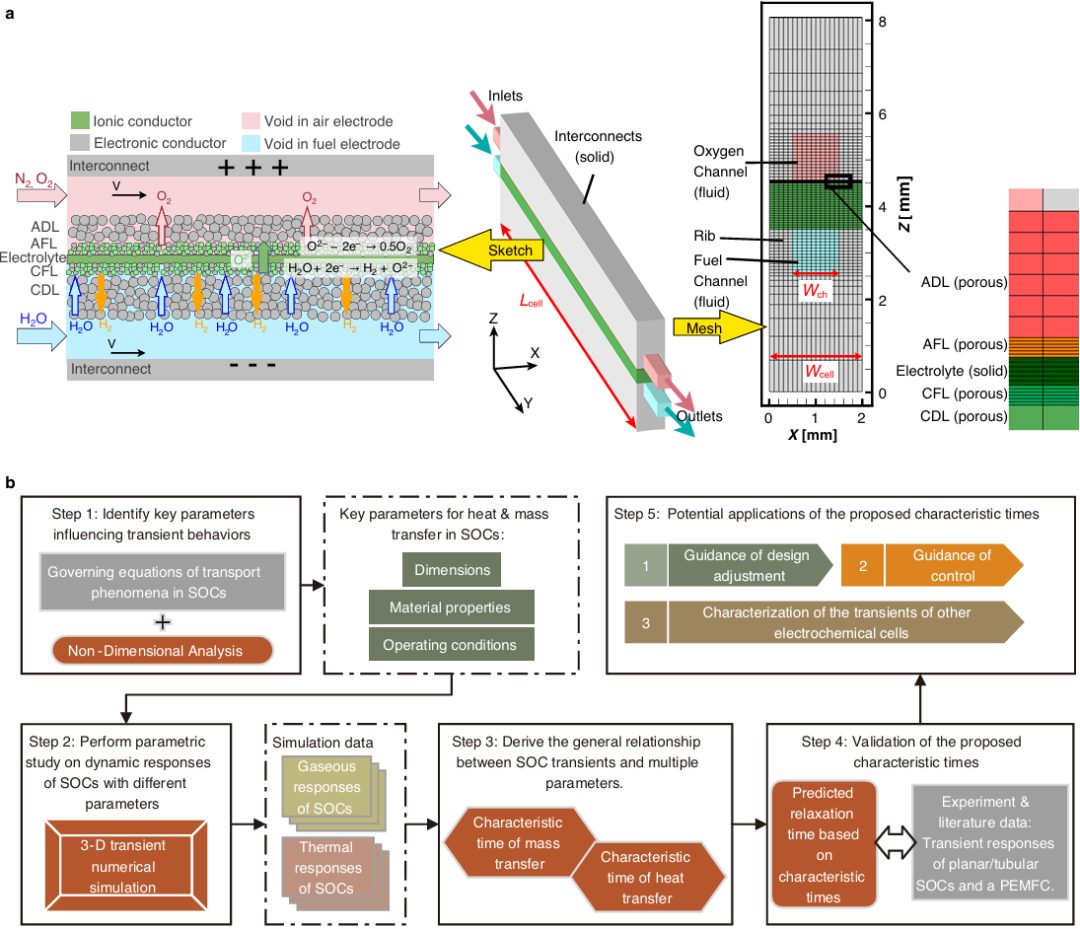 香港理工大學(xué)李夢(mèng)穎，最新Nature子刊！