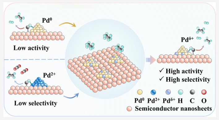 中科大謝毅院士，最新JACS！