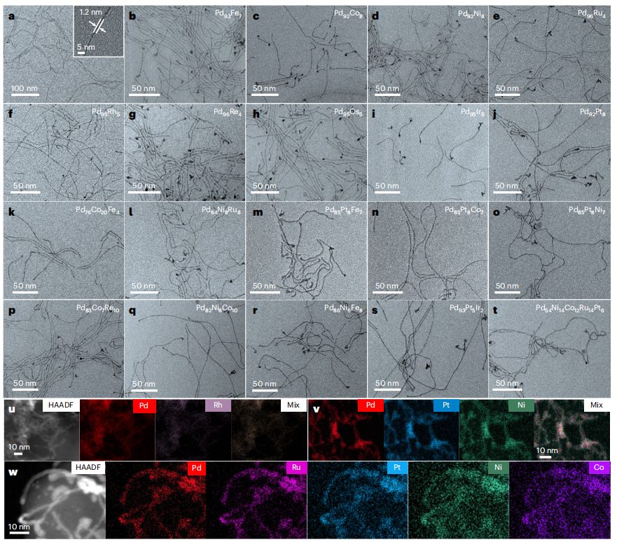 繼Nature Materials后，華科李箐再發(fā)Nature Catalysis！