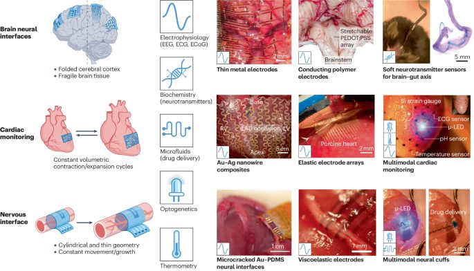 鮑哲南院士，最新Nature Reviews Bioengineering！