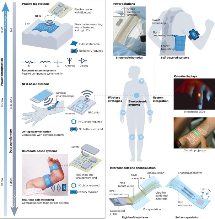 鮑哲南院士，最新Nature Reviews Bioengineering！