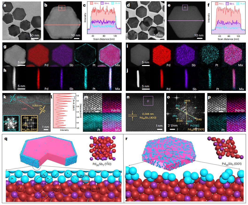 他，廈門大學(xué)「國家杰青」，最新Nature Nanotechnology！