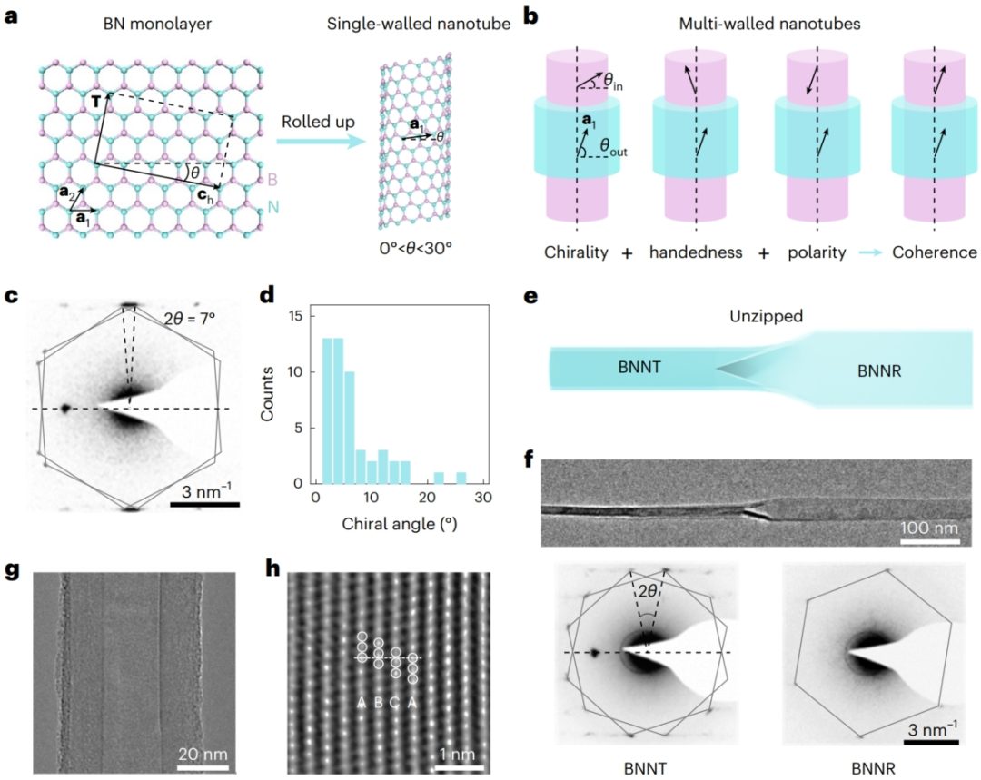 北京大學(xué)，新發(fā)Nature Nanotechnology！