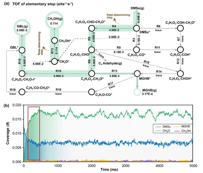 ?天大ACS Catal.: 計算結合kMC分析，揭示Cu/ZnO催化HDMM加氫機制