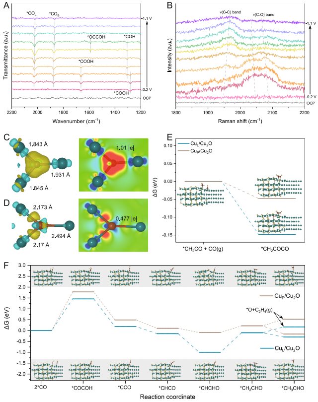 中科大章根強(qiáng)，最新Nature子刊！