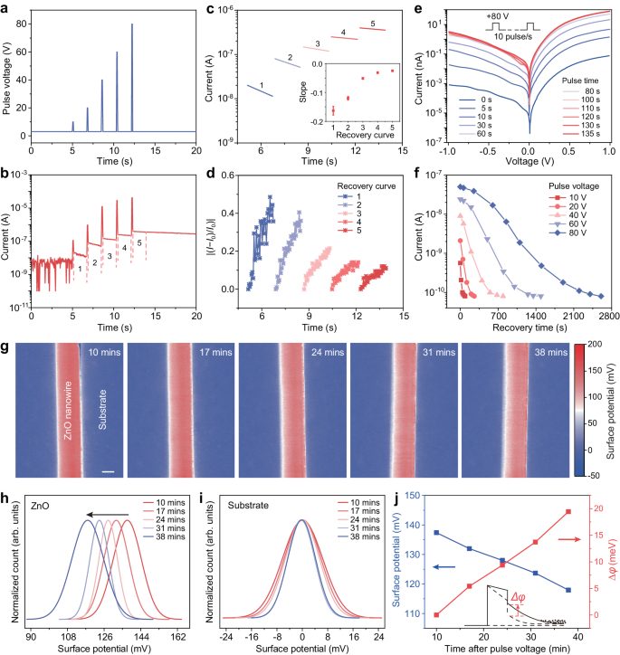 「長江學者」+90后碩導！蘭州大學，重磅Nature子刊！