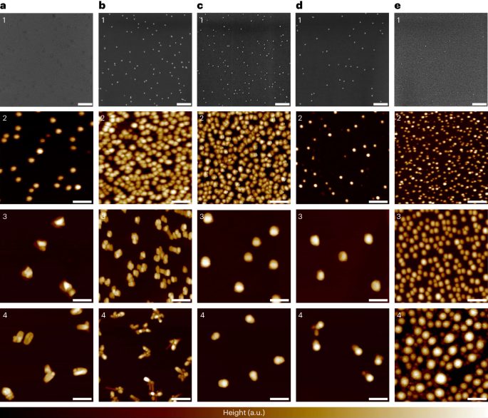 量子點(diǎn)，最新Nature Synthesis！