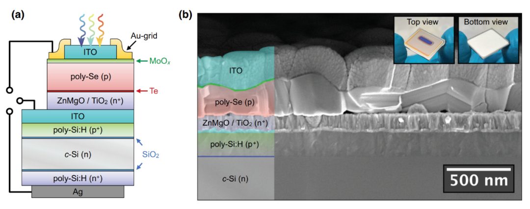 全球首個硒-硅單片疊層太陽能電池：有望突破單結(jié)光伏效率極限