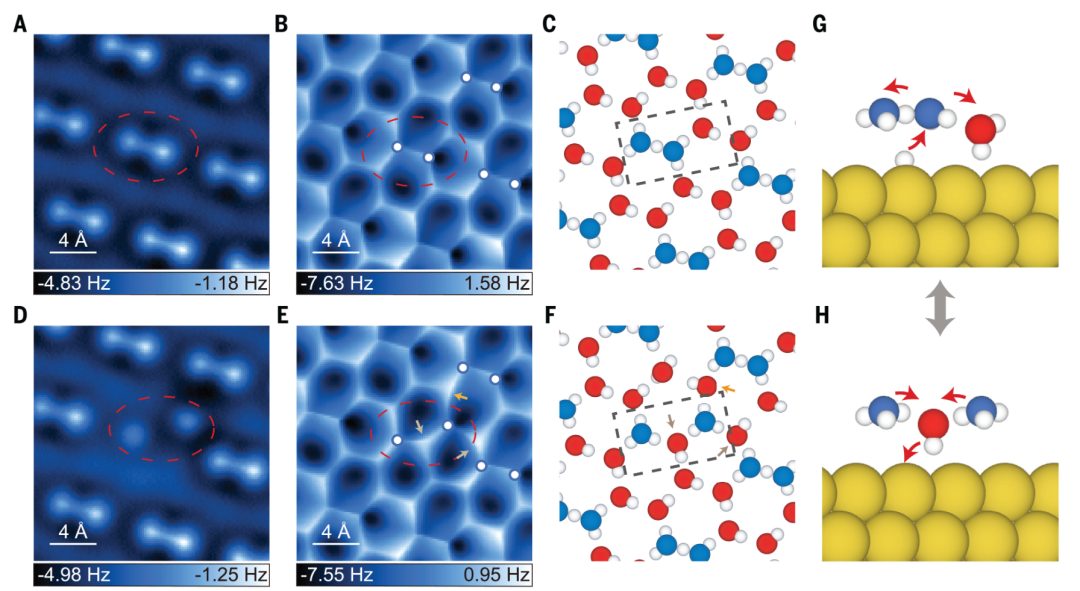 明晚開(kāi)講！Nature+Science一作！北京大學(xué)洪嘉妮博士報(bào)告：表界面氫鍵網(wǎng)絡(luò)的原子尺度研究！