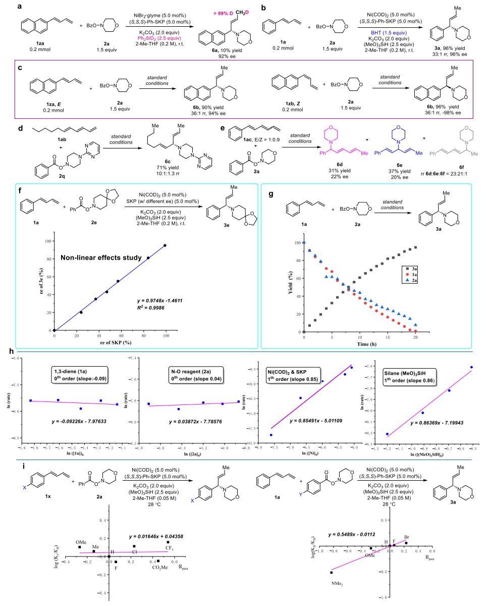 重磅！丁奎嶺院士，最新JACS！