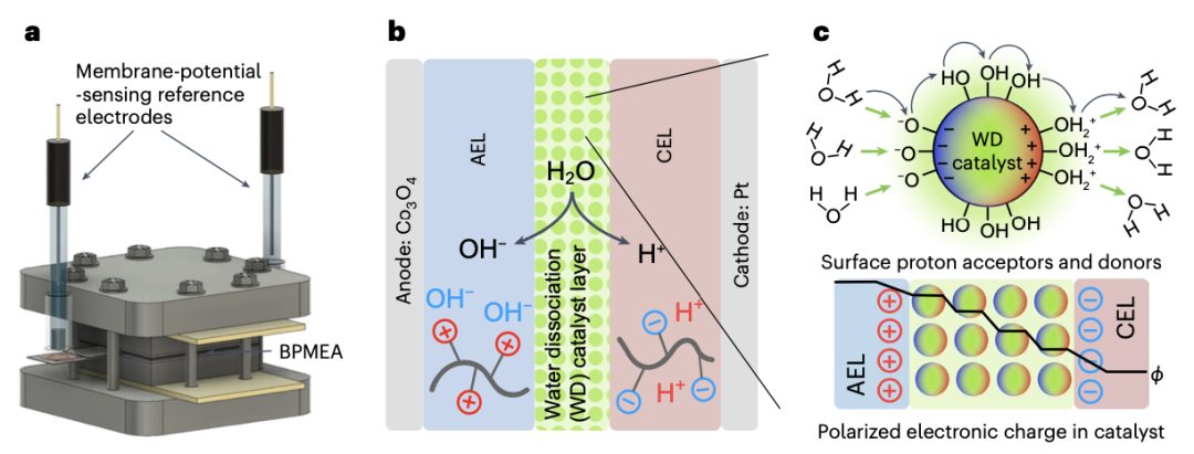 催化劑描述符，最新Nature Materials！