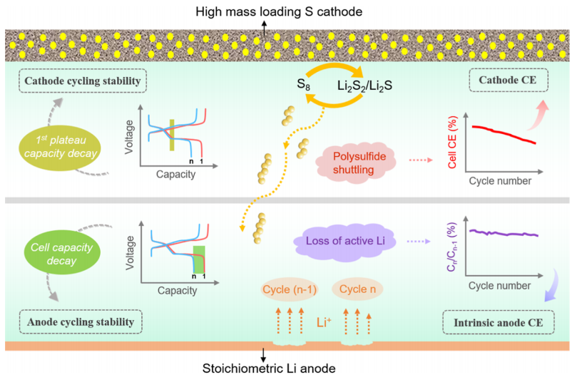 強強聯(lián)手！耶魯王海梁&中山吳明娒，發(fā)表最新JACS！