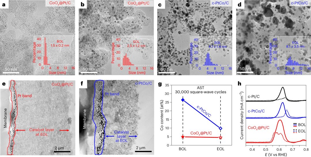 她，頂級名校博士！師從段鑲鋒/黃昱，一作發(fā)表最新Nature Catalysis！