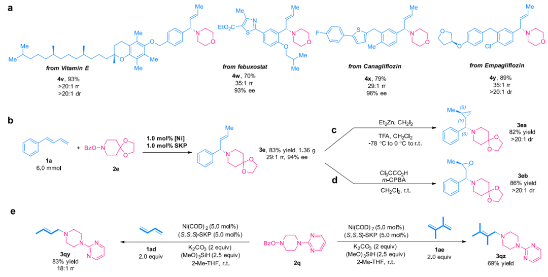 重磅！丁奎嶺院士，最新JACS！