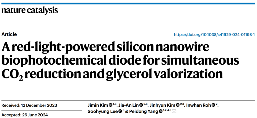 Si納米線“再續(xù)傳奇”！三院院士楊培東，最新Nature Catalysis！