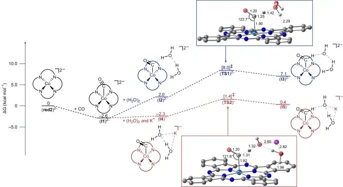 電催化CO2還原，最新Nature Catalysis！