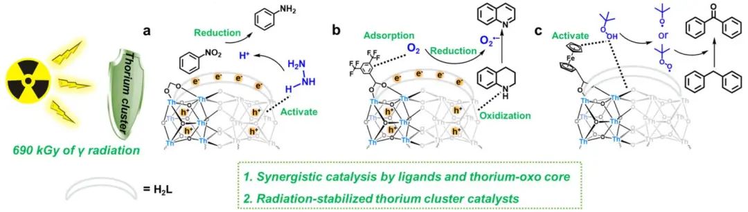 他，211「國家杰青」，東北師大本博，發(fā)表最新JACS！