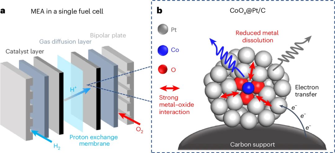 她，頂級名校博士！師從段鑲鋒/黃昱，一作發(fā)表最新Nature Catalysis！