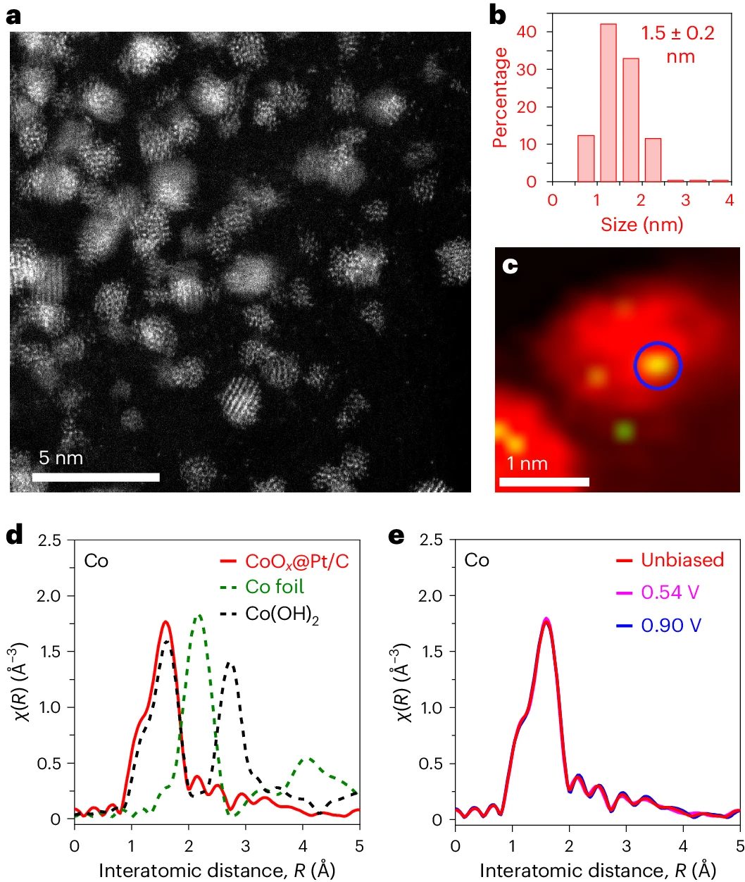 她，頂級名校博士！師從段鑲鋒/黃昱，一作發(fā)表最新Nature Catalysis！