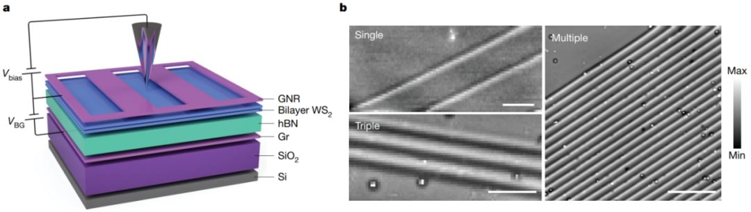 他，西安交大校友，一作兼通訊，24小時(shí)連發(fā)Science、Nature！