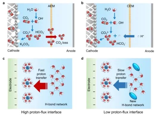 ?華理ACS Catal.: 電解質(zhì)調(diào)控界面氫鍵環(huán)境，促進酸性CO2電解