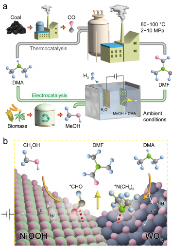 南大周豪慎/鐘苗，最新JACS！