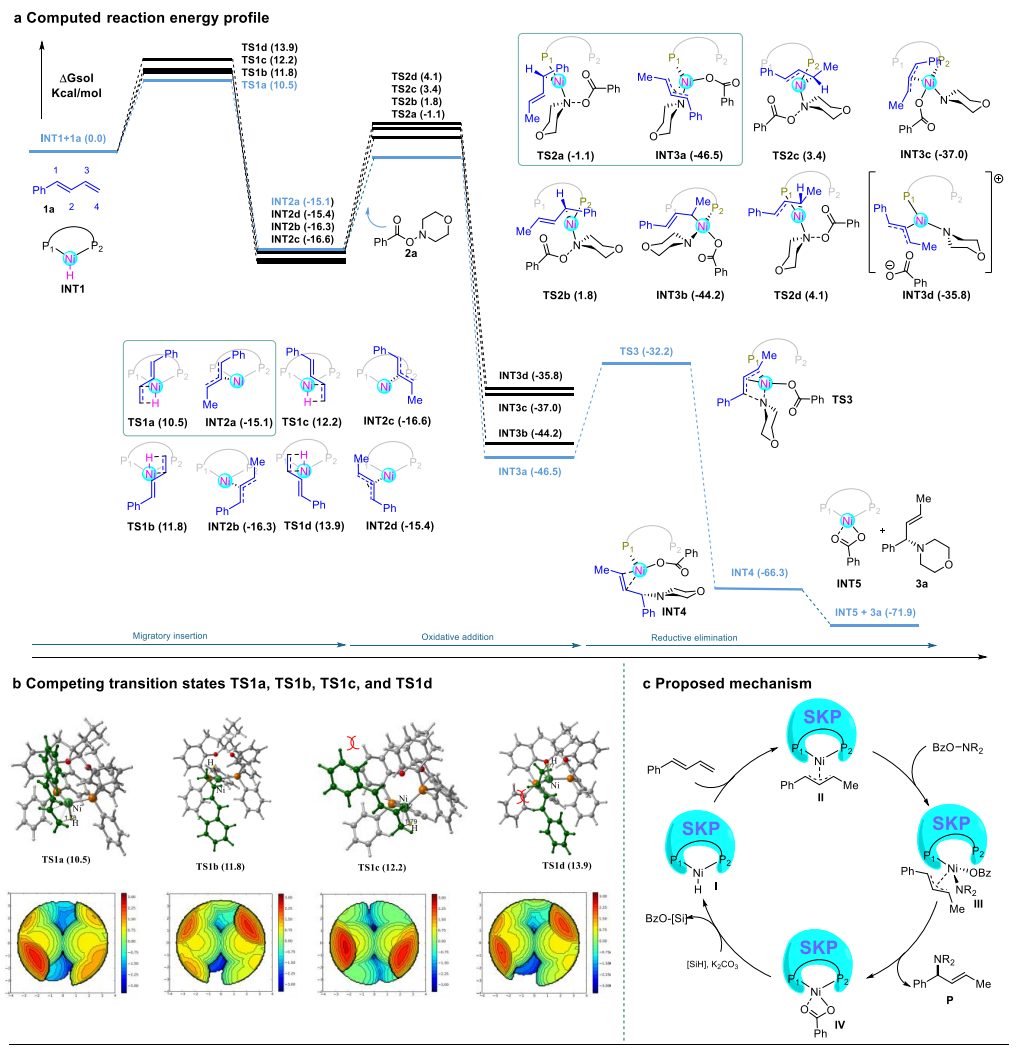 重磅！丁奎嶺院士，最新JACS！