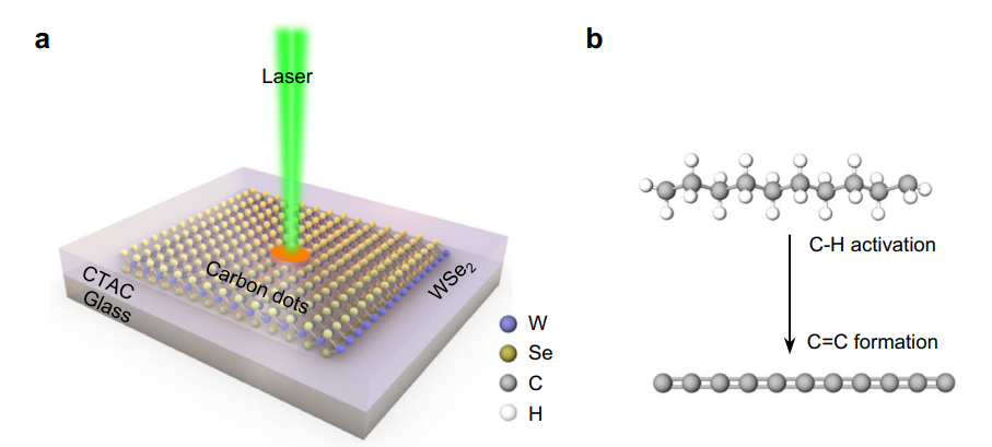 日本東北大李昊/UT Austin鄭躍兵最新Nature Commun.：二維材料助力光驅(qū)動(dòng)C-H鍵活化和長(zhǎng)鏈分子轉(zhuǎn)化