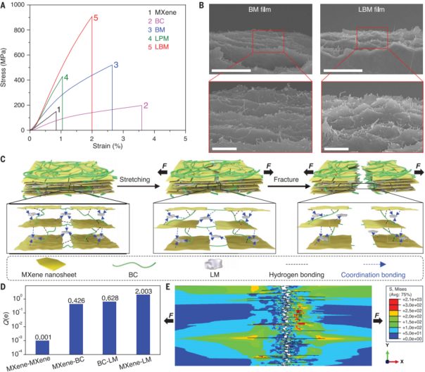 北京航空航天大學(xué)，最新Science封面論文！